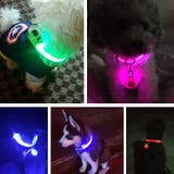 犬用首輪 LEDライト 光る首輪 | PlusNao | 詳細画像5 