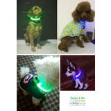 犬用首輪 LEDライト 光る首輪 | PlusNao | 詳細画像6 