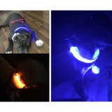 犬用首輪 LEDライト 光る首輪 | PlusNao | 詳細画像7 