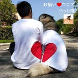 ペット用 犬猫兼用 洋服 | PlusNao | 詳細画像1 