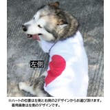 ペット用 犬猫兼用 洋服 | PlusNao | 詳細画像7 