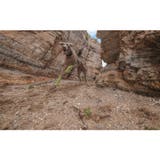 ペット用靴下 レッグウォーマー 4枚セット | PlusNao | 詳細画像3 