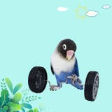 鳥用おもちゃ ペット トリ | PlusNao | 詳細画像2