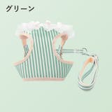 ハーネス リード 2点セット | PlusNao | 詳細画像15 