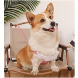 ハーネス リード 2点セット | PlusNao | 詳細画像2 