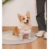 ハーネス リード 2点セット | PlusNao | 詳細画像3 