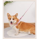 ハーネス リード 2点セット | PlusNao | 詳細画像4 