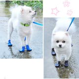 犬用ブーツ レインブーツ ラバーシューズ | PlusNao | 詳細画像6 