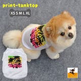犬の服 ドックウエア ペットウエア | PlusNao | 詳細画像1