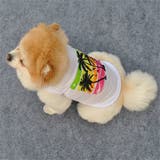 犬の服 ドックウエア ペットウエア | PlusNao | 詳細画像3