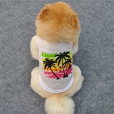 犬の服 ドックウエア ペットウエア | PlusNao | 詳細画像4