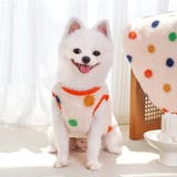 ドッグウェア 犬服 ベスト | PlusNao | 詳細画像3 
