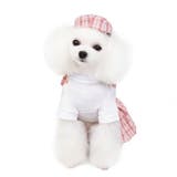 ペットウェア ワンピース 犬服 | PlusNao | 詳細画像5 