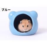 セラミックハウス 小動物用品 ハムスター用 | PlusNao | 詳細画像8