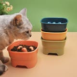 ペット用食器 フードボウル 猫用 | PlusNao | 詳細画像2 