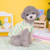 ドッグウェア ペットウェア 犬用 | PlusNao | 詳細画像3