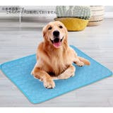 ペットマット 犬用マット 犬用ベッド | PlusNao | 詳細画像3
