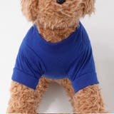 Tシャツ 犬服 ドッグウェア | PlusNao | 詳細画像13