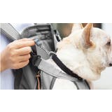 キャリーバッグ おんぶ紐タイプ 抱っこひも | PlusNao | 詳細画像11 