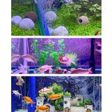 エアストーン 水槽用 エアレーション | PlusNao | 詳細画像4