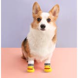 ペット用靴下 2足セット 8枚 | PlusNao | 詳細画像2 