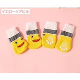 ペット用靴下 2足セット 8枚 | PlusNao | 詳細画像5 