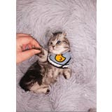 ペット用ベッド ペットベッド カドラー | PlusNao | 詳細画像11 