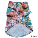 ドッグウェア アロハシャツ 犬服 | PlusNao | 詳細画像16