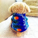 ドッグウェア アロハシャツ 犬服 | PlusNao | 詳細画像2