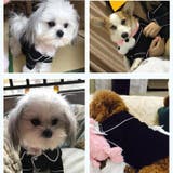 ペットウェア パジャマ 犬用 | PlusNao | 詳細画像3 