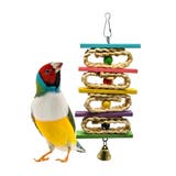 オウム インコ 鳥 | PlusNao | 詳細画像1