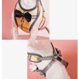 ハーネス リード 2点セット | PlusNao | 詳細画像13