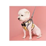 ハーネス リード 2点セット | PlusNao | 詳細画像4