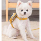 ハーネス リード 2点セット | PlusNao | 詳細画像2 