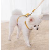 ハーネス リード 2点セット | PlusNao | 詳細画像3 