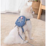 ハーネス リード 2点セット | PlusNao | 詳細画像6 