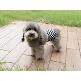 マナーベルト 犬用 3枚セット | PlusNao | 詳細画像10 