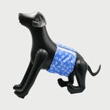 マナーベルト 犬用 3枚セット | PlusNao | 詳細画像13 