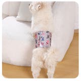 マナーベルト 犬用 3枚セット | PlusNao | 詳細画像3 