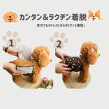 マナーベルト 犬用 3枚セット | PlusNao | 詳細画像5 