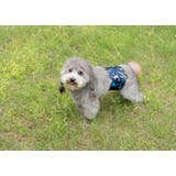 マナーベルト 犬用 3枚セット | PlusNao | 詳細画像8 