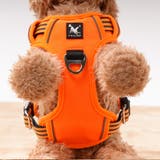 ハーネス 胴輪 単品 | PlusNao | 詳細画像12 