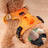 ハーネス 胴輪 単品 | PlusNao | 詳細画像13 