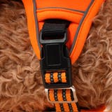 ハーネス 胴輪 単品 | PlusNao | 詳細画像15 