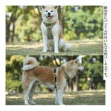 ハーネス 胴輪 単品 | PlusNao | 詳細画像2 