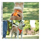 ハーネス 胴輪 単品 | PlusNao | 詳細画像3 