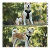 ハーネス 胴輪 単品 | PlusNao | 詳細画像4 