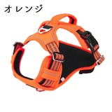 ハーネス 胴輪 単品 | PlusNao | 詳細画像6 