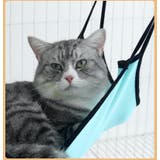 猫用ハンモック 猫用ベッド フック付き | PlusNao | 詳細画像4 