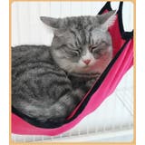 猫用ハンモック 猫用ベッド フック付き | PlusNao | 詳細画像5 